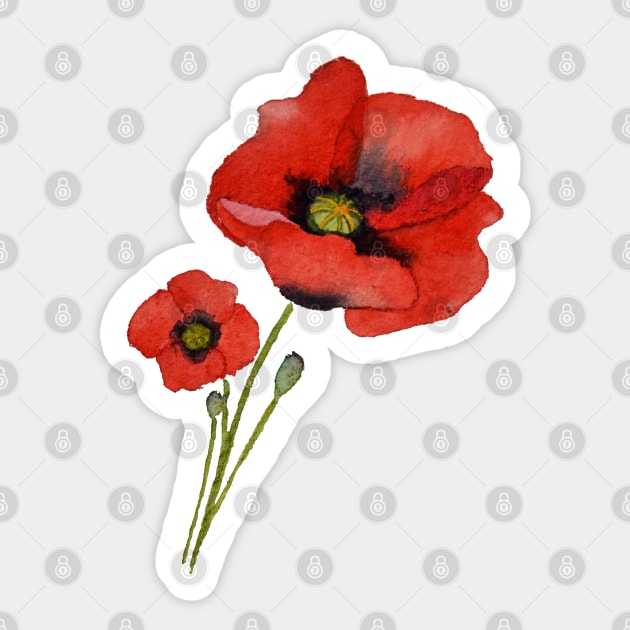 Watercolour Poppies Sticker by Kirsty Topps